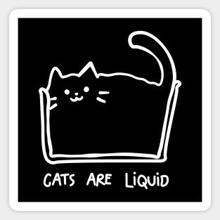 Cats are liquid Magnet